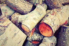 Wortham wood burning boiler costs